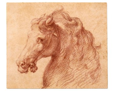 Head of a Horse MET DR1008