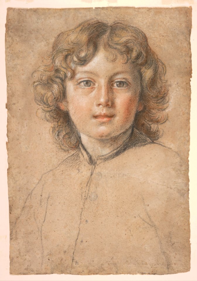 Head of a Young Boy MET DP319701