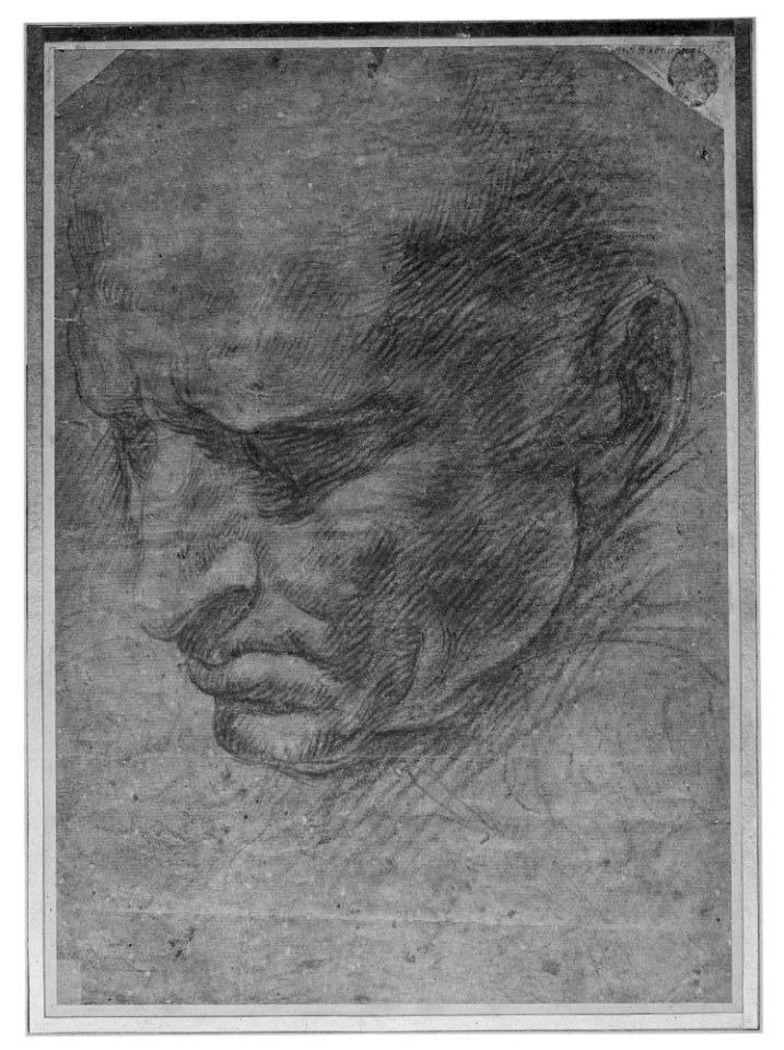 Head of a Man MET 570