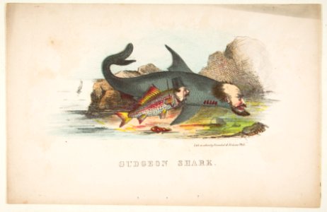 Gudgeon and Shark, from The Comic Natural History of the Human Race MET DP813088