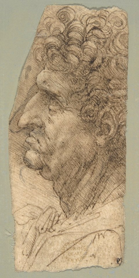 Head of a Man in Profile Facing to the Left MET DP810248