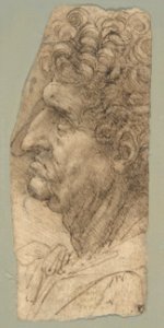 Head of a Man in Profile Facing to the Left MET DP810248