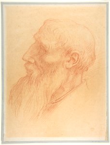 Head of a Man MET DP811611