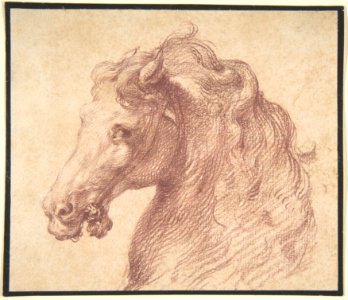 Head of a Horse MET DP802132