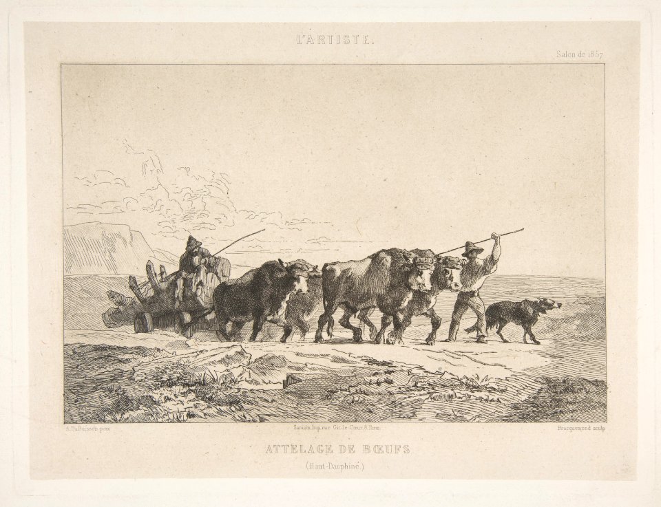 Harnessing of Cattle (Haut-Dauphiné) MET DP814036