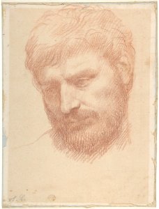 Head of a Man MET DP807253