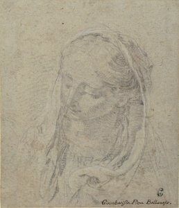 Head of a Woman MET 1989.172