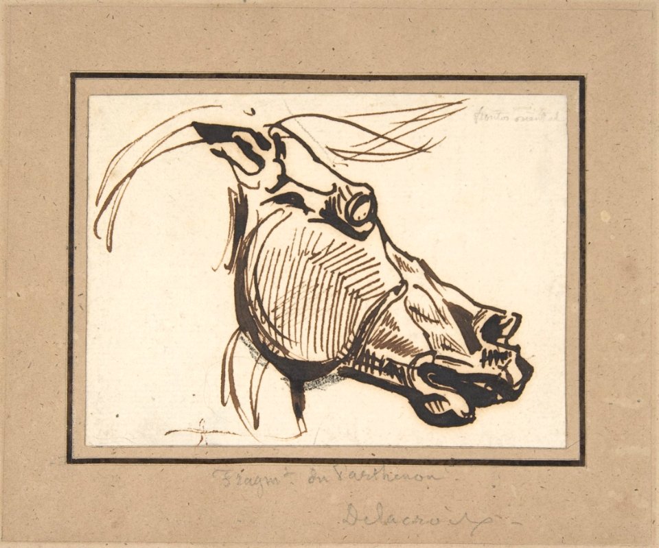 Head of a Horse, after the Parthenon MET DP805841