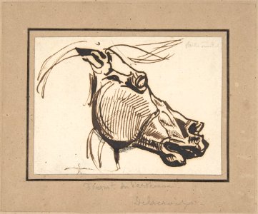 Head of a Horse, after the Parthenon MET DP805841