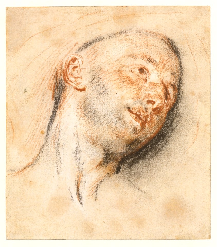 Head of a Man MET DT626