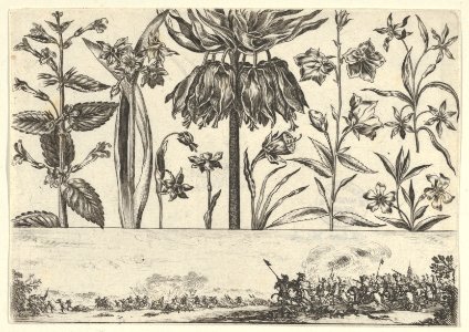 Horizontal Panel with a Row of Flowers Above a Frieze with a Battle Scene in a Landscape, from Livre Nouveau de Fleurs Tres-Util MET DP837397