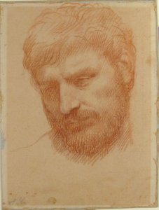 Head of a Man MET 92.13.23