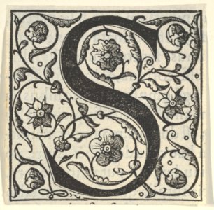 Initial letter S with garlands MET DP855595