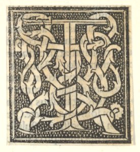 Initial letter T on patterned background MET DP855211