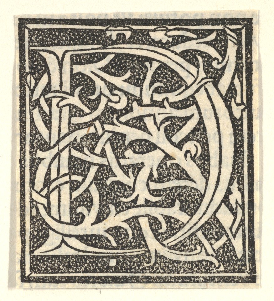 Initial letter D on patterned background MET DP855203