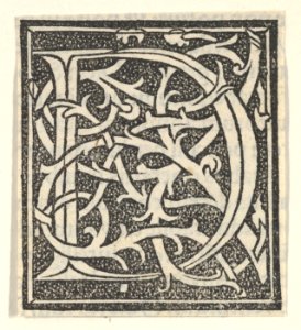 Initial letter D on patterned background MET DP855203
