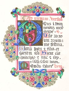 Illuminated Letter "D" within a Decorated Border MET DP801155