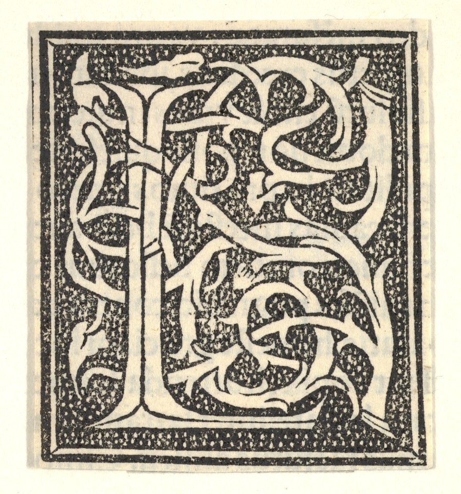 Initial letter L on patterned background MET DP855204