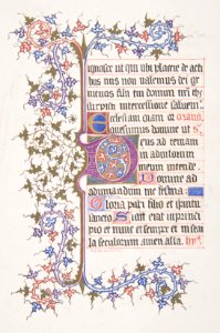Illuminated Leaf with Initial "E" (recto); Vine Border (verso) MET DP801147
