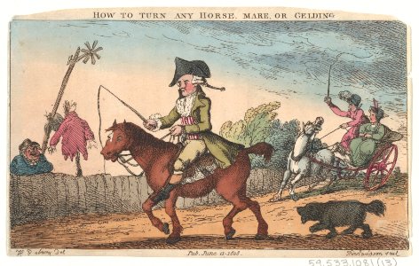How to Turn Any Horse, Mare, or Gelding MET DP879701