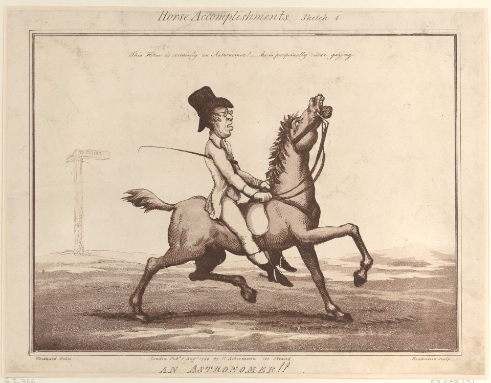 Horse Accomplishments Met DP885299