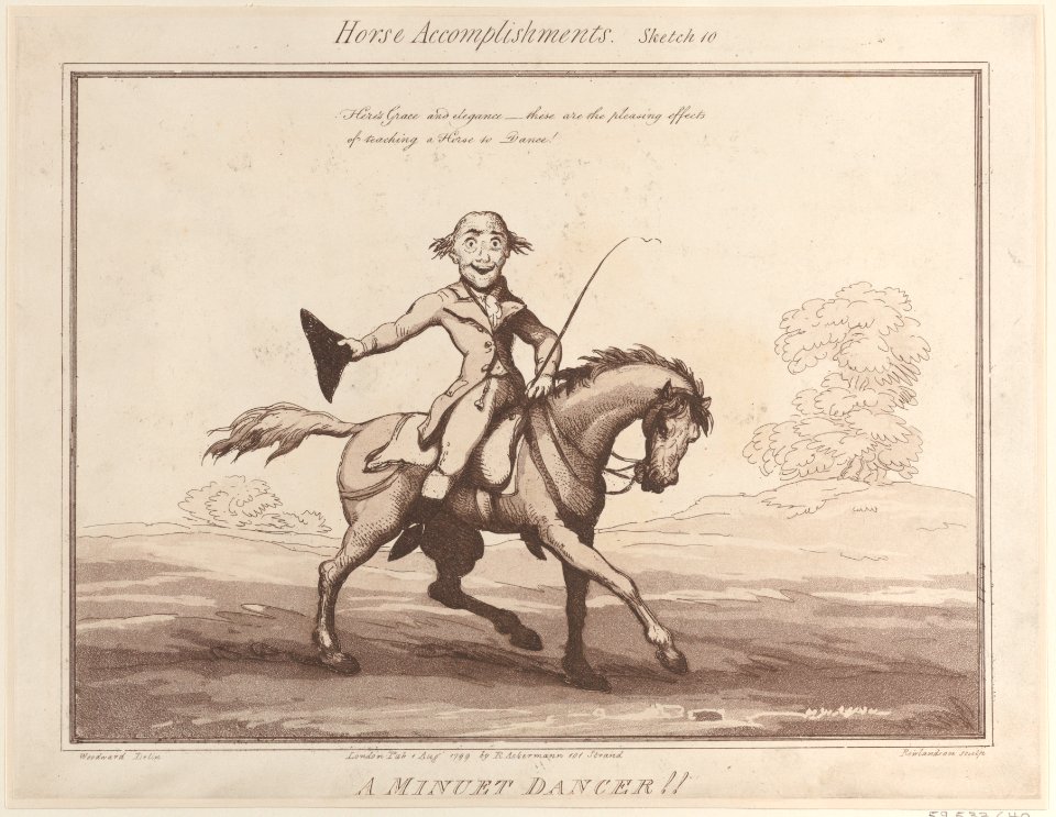 Horse Accomplishments Met DP885308