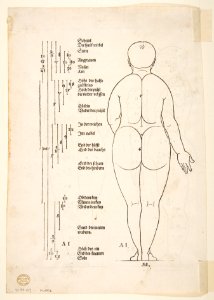 Illustration from Dürers Vier Bucher von Menslicher Proportion, Nuremberg, 1528 MET DP816816