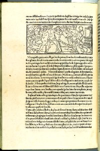 Hypnerotomachia Poliphili MET DP102573