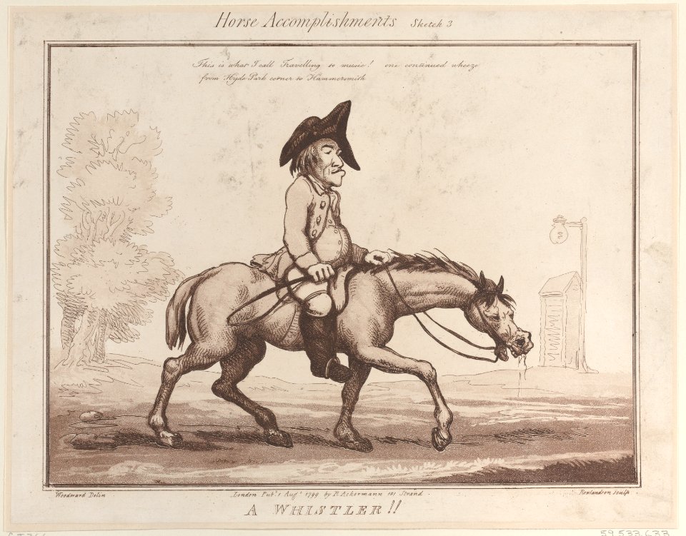 Horse Accomplishments Met DP885301