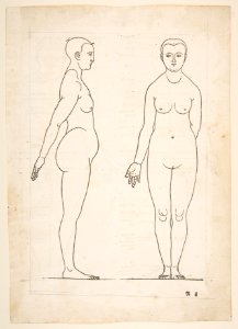 IIllustration from Dürers Vier Bucher von Menslicher Proportion, Nuremberg, 1528 MET DP816817