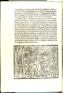 Hypnerotomachia Poliphili MET DP102575