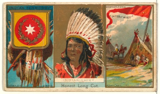 Indian Chief, from "Governors, Arms, Etc." series (N133-1), issued by Duke Sons & Co. MET DP865493
