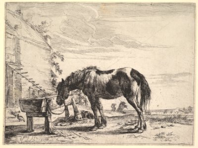 Horse Bound to a Feeding Trough MET DP828113