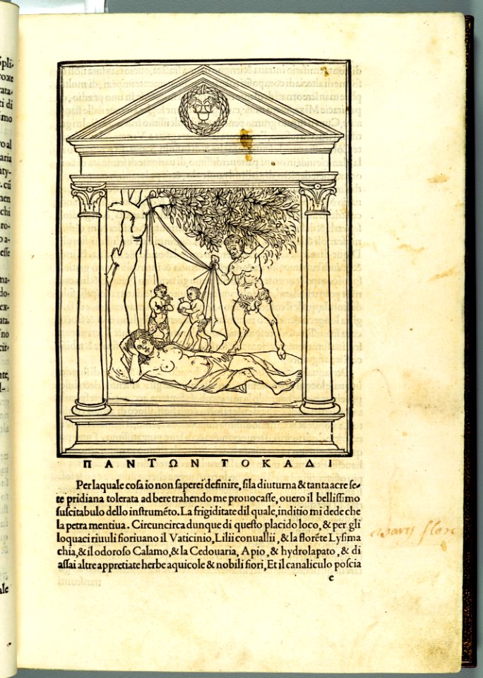 Hypnerotomachia Poliphili MET DP102570
