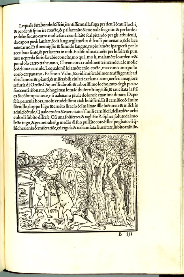 Hypnerotomachia Poliphili MET DP102576