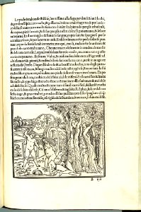 Hypnerotomachia Poliphili MET DP102576