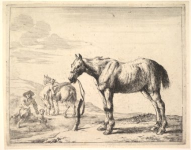 Horse Bound to a Post, turned left MET DP828080