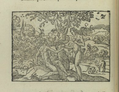 Icones historicae Veteris et Novi Testament MET DP110985