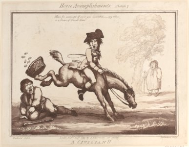 Horse Accomplishments Met DP885305