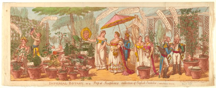 Imperial Botany – or a Peep at Josephine's Collection of Engilsh Exoticks, vide the Champion Jany 30, 1814 MET DP841156