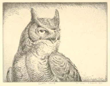 Horned Owl (Portrait Great Horned Owl) MET DP832888