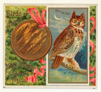 Horned Owl, from the Birds of America series (N37) for Allen & Ginter Cigarettes MET DP838980