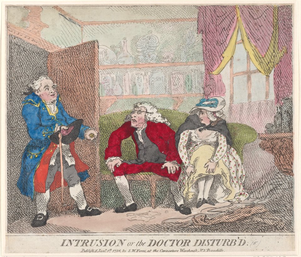 Intrusion, or The Doctor Disturb'd MET DP881091