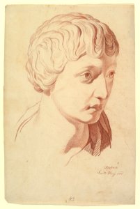 Idealized Head Looking Right, Copied after the Antique MET DP819692