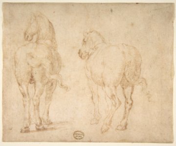 Horses. MET DP810969