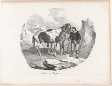 Horses of Auvergne MET DP874604