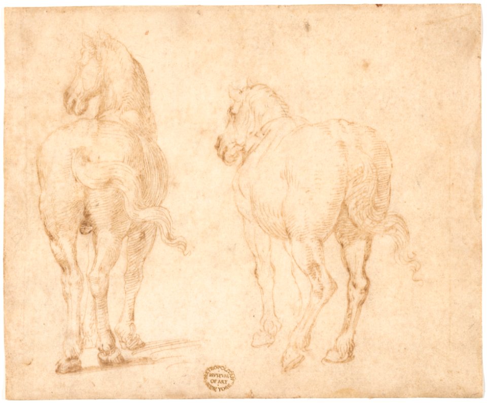 Horses. MET DP156478