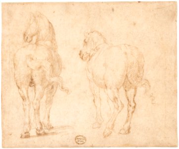 Horses. MET DP156478