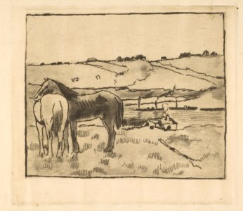 Horses in the Meadow MET DP815817