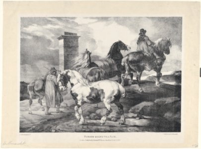 Horses going to a Fair MET DP874625